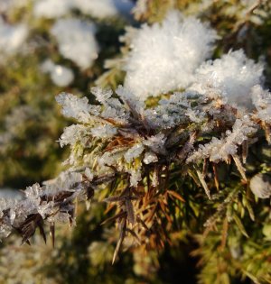 WP_20130123_014b.jpg