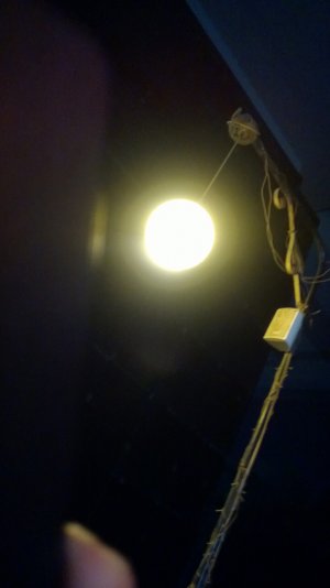WP_20130315_015.jpg