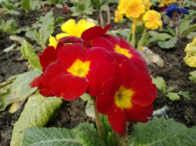 WP_20130410_019.jpg