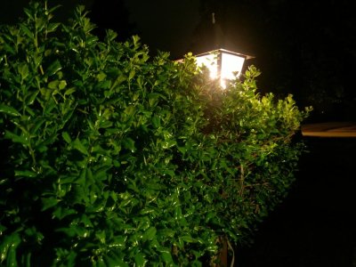 WP_20130518_093_zpse5c2e26c.jpg