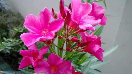 WP_20130704_014 (1).jpg