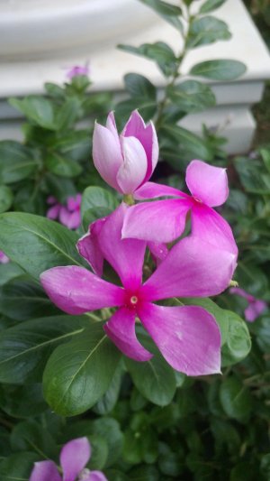 WP_20130708_005.jpg
