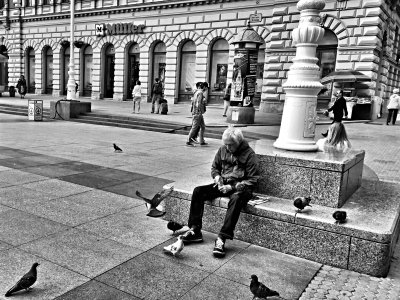 Pigeons.jpg