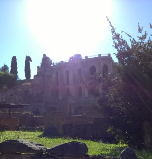 Sunshine in the Forum.jpg