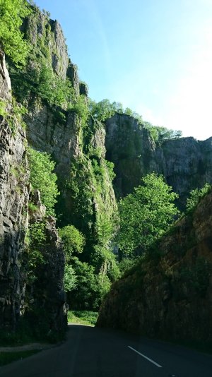 DSC_0385.JPG