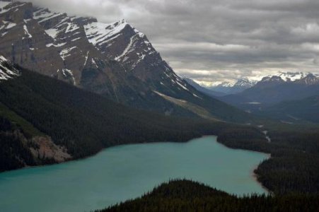 peyto-lake.jpg peyto-lake.jpg