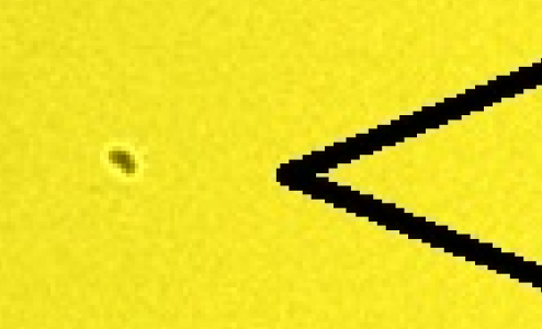 Capture.PNG