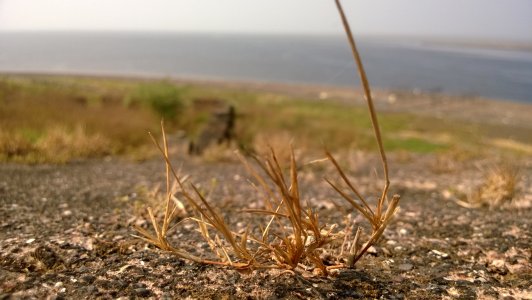 WP_20131127_033.jpg WP_20131127_033.jpg