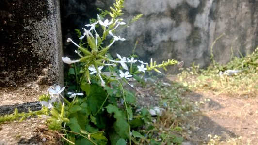 WP_20131127_048.jpg WP_20131127_048.jpg