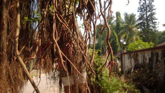 WP_20131127_057.jpg WP_20131127_057.jpg