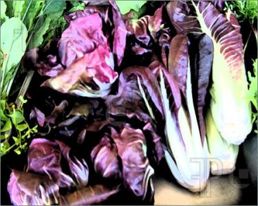 Abstract-Purple-Lettuce-283754.jpg