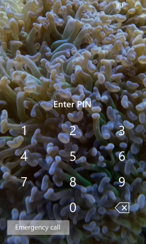 wp_ss_20150619_0002.png