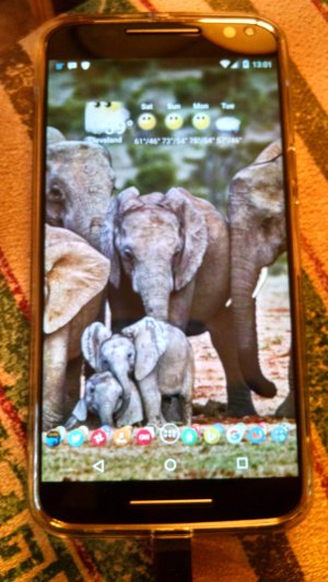 uploadfromtaptalk1444497508234.jpg uploadfromtaptalk1444497508234.jpg