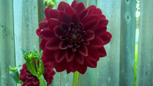 WP_20150716_027.jpg