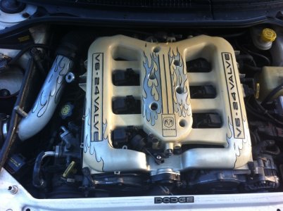 image.jpeg image.jpeg