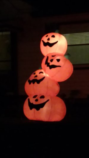 IMG_20151021_205616270.jpg IMG_20151021_205616270.jpg