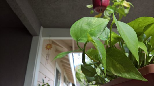WP_20151126_09_51_18_Raw_LI.jpg