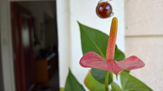 WP_20151126_09_57_40_Raw_LI.jpg
