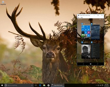 Screenshot (3).jpg