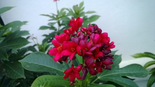 WP_20130704_025.jpg