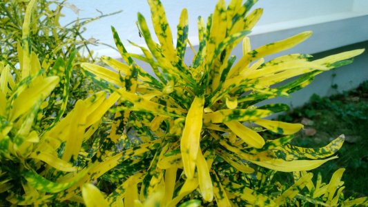 WP_20130707_006.jpg