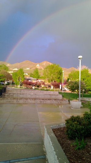 WP_20130510_008.jpg