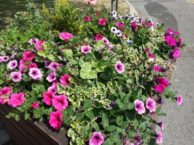 WP_20130713_004.jpg