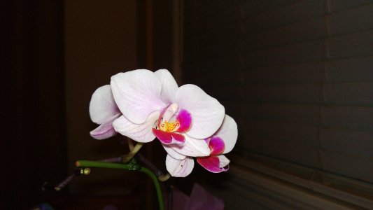 Lumia 928 Night mode flash on.jpg