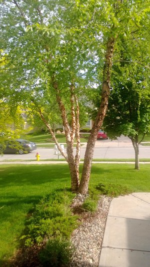 WP_20130519_021.jpg