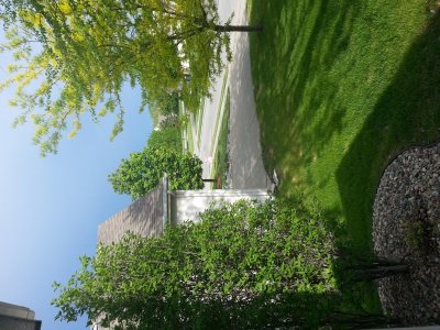 20130519_173524.jpg
