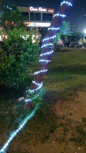 WP_20130413_004.jpg