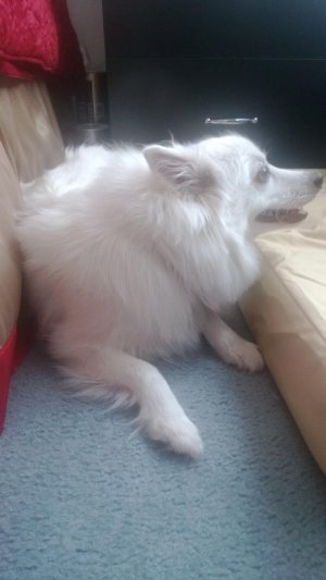 WP_20130519_001.jpg