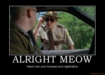 alright-meow-super-troopers-demotiv.jpg