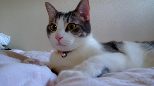 WP_20130522_062.jpg
