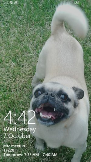 wp_ss_20151007_0001.jpg wp_ss_20151007_0001.jpg