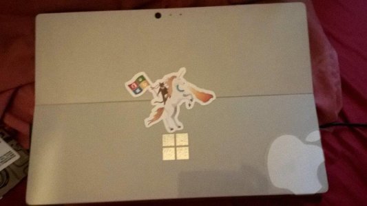 sp4back--.jpg
