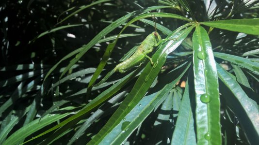 WP_20160123_12_25_16_Pro (2).jpg WP_20160123_12_25_16_Pro (2).jpg