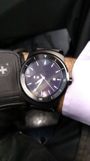 24310.jpg