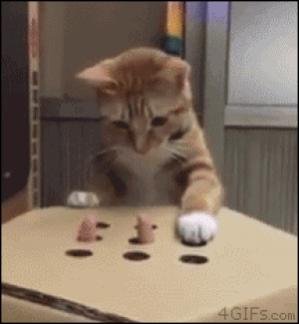 kitty-whack-a-mole1.jpg