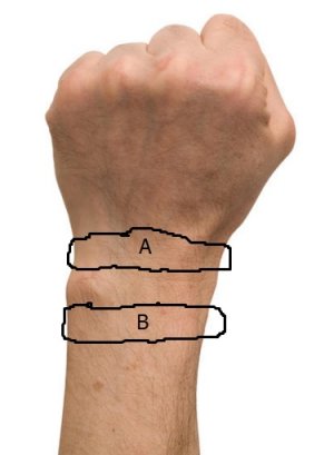 wrist.jpg