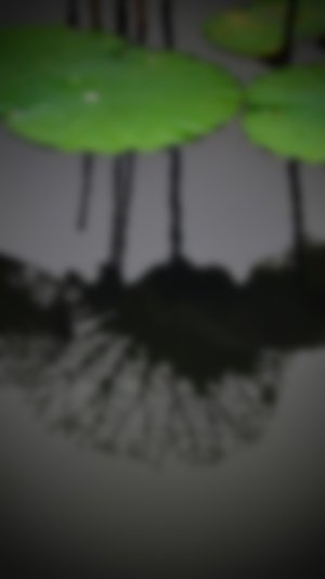 AdobePhotoshopExpressBlur.jpg