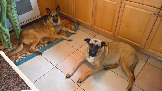 WP_20160101_10_10_30_Rich[1].jpg