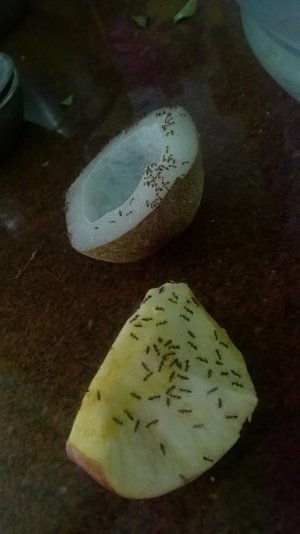 WP_20160322_16_45_04_Pro (3)-001.jpg