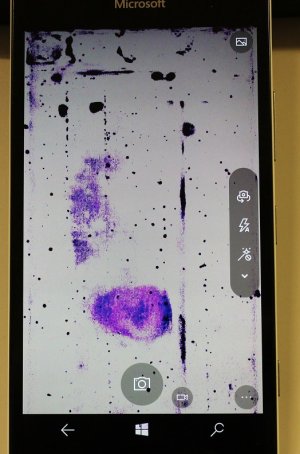InkSpots_2.jpg