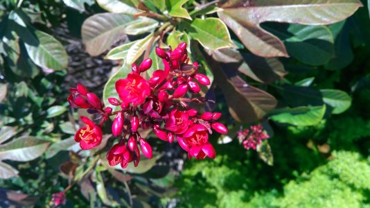 WP_20160213_12_31_44_Pro.jpg