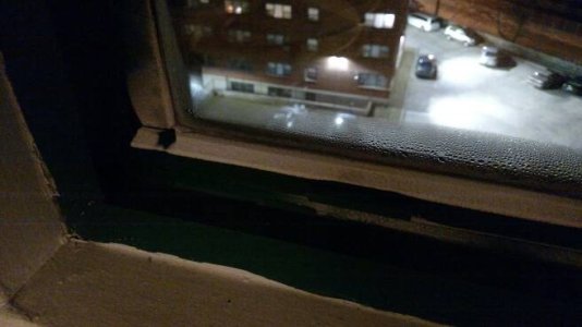 26758.jpg