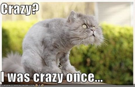 LolCats - 23_11_2015 05_04_57.jpg