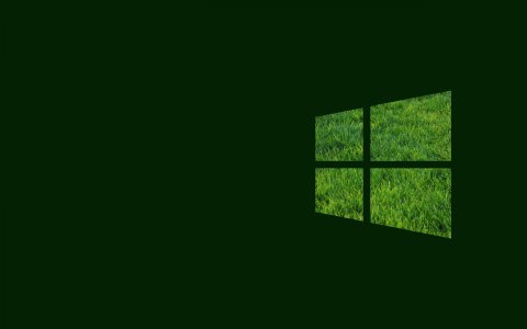 Windows10 Flag Green Grass.jpg