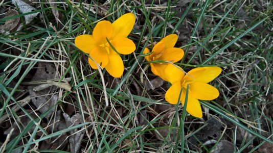 WP_20160220_11_31_05_Rich_LI.jpg