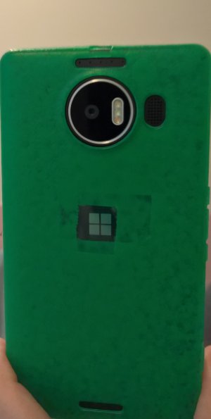 WP_20160224_11_06_37_Rich_LI (2).jpg